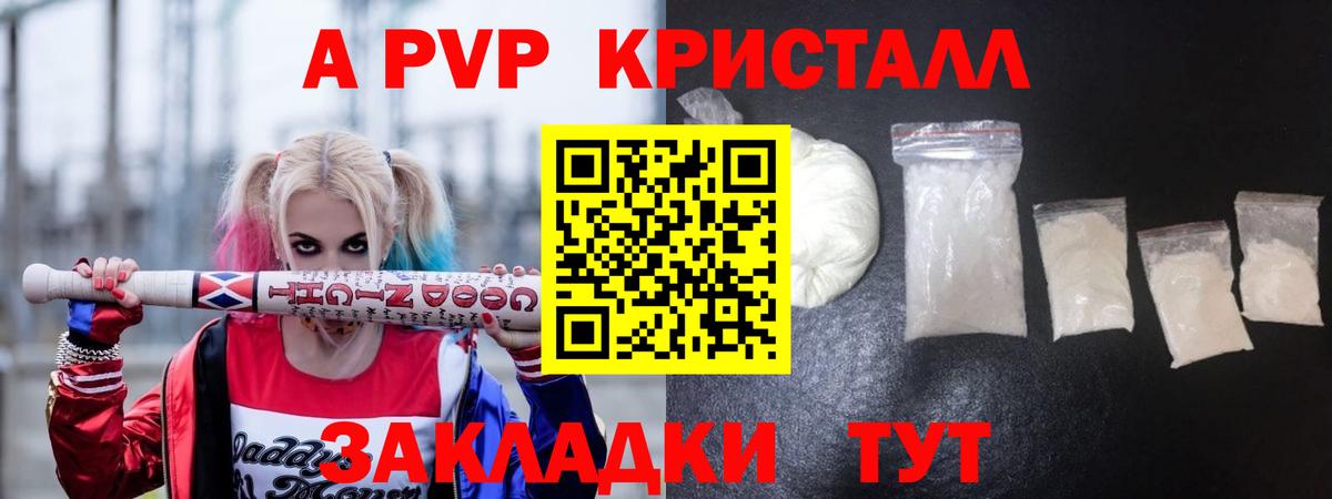 APVP СК Сальск