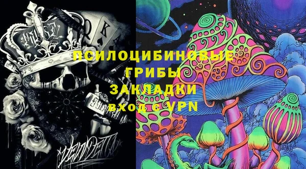 дживик Абаза