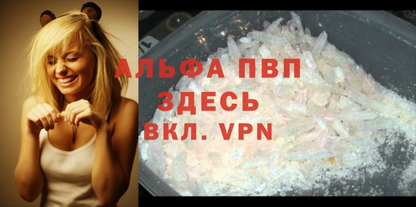 дживик Абаза