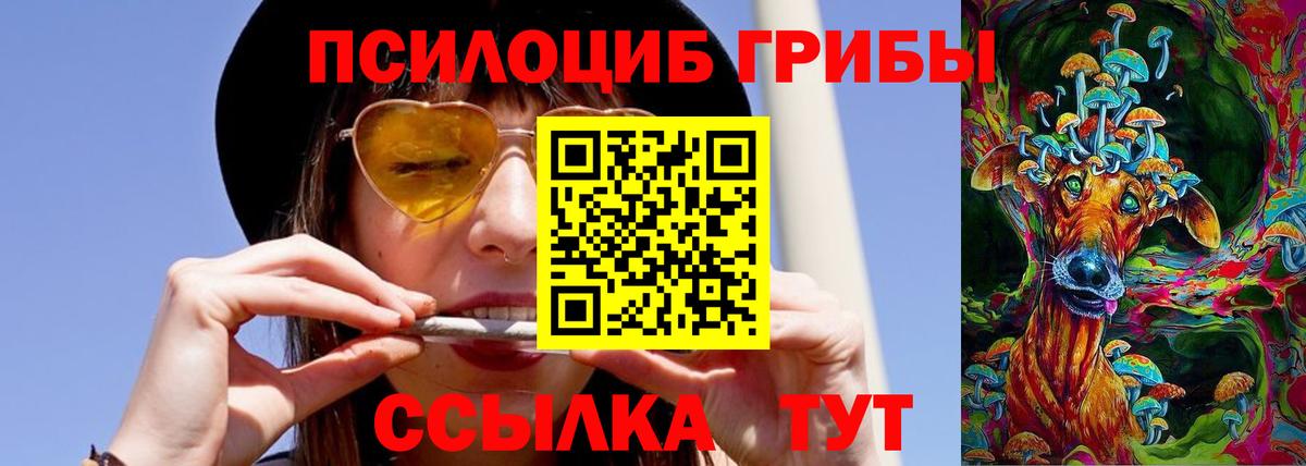 Псилоцибиновые грибы мухоморы  Вход с VPN  дарнет шоп  Псилоцибиновые грибы Psilocybe  Сальск 