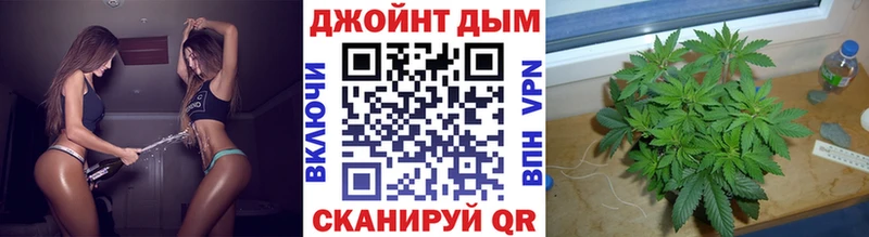 Каннабис конопля  как найти наркотики  Сальск 