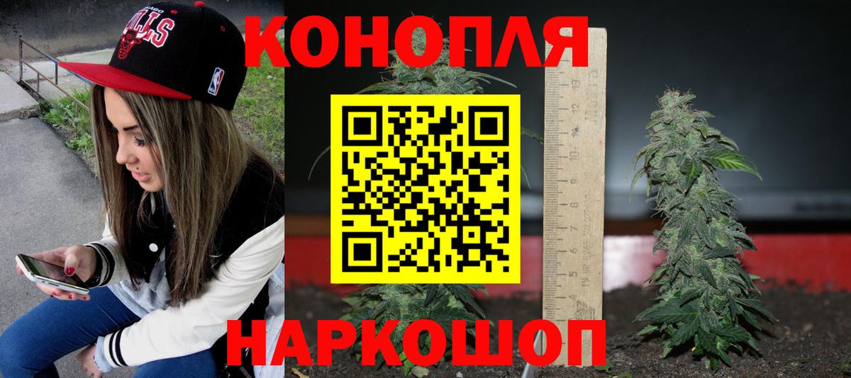 Марихуана White Widow  Конопля сатива  Сальск  Вход с VPN  Шишки марихуана White Widow 